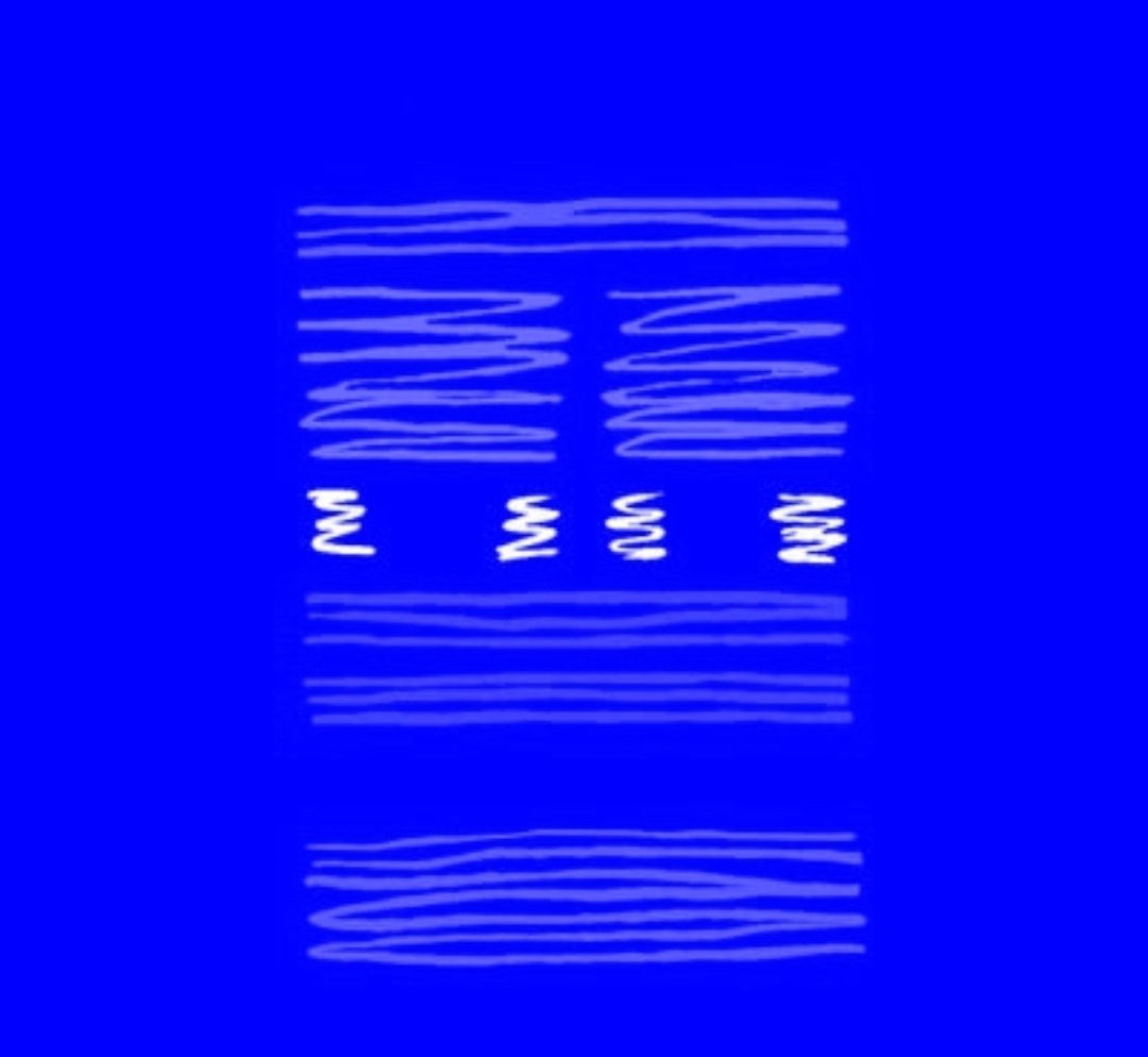 Rain or Shine
Greed or Fear
The $HUNSTR Token will go live on <a href="/base/">Base</a> 10/21/25 
Time: 11:00 A.M. EST 
Blueprint.cooking 
🟦🟦🟦🟦