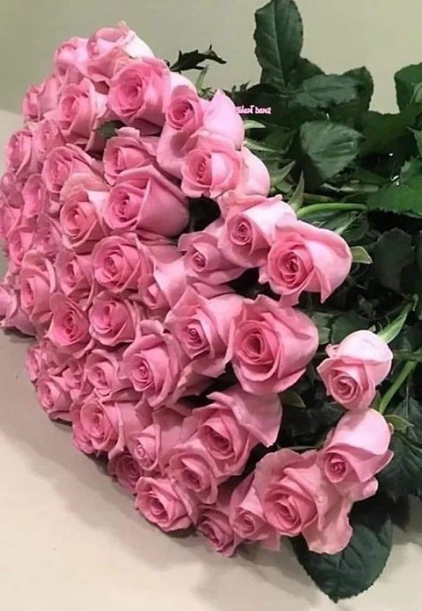 #GeceyeBirNot
Günün birinde hepimiz
Sonsuza dek  susacagız
Onun için sevdiklerinize
Seni seviyorum  demekten
Çekinmeyin