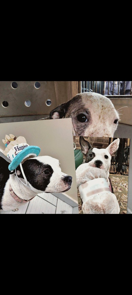 From all alone, to happiness ❤️