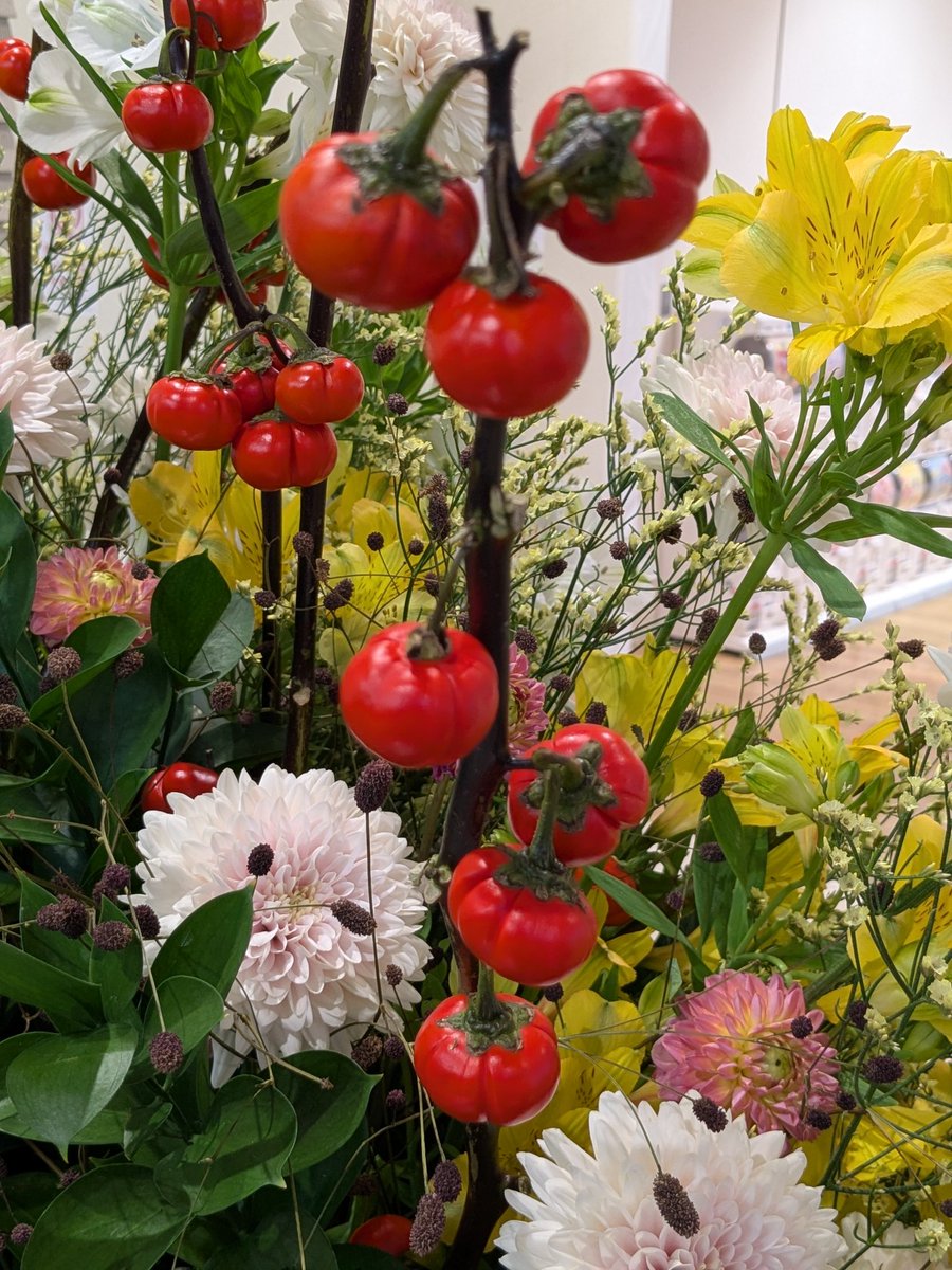 皆さま
おはよう御座います🍂
10月20日月曜日
秋も深まり肌寒い日も増えてきました🍃
皆さまお元気でお過ごしでしょうか？
今週も元気で無理なく笑顔で頑張ってまいりましょう 🎃
#TLを花でいっぱいにしよう