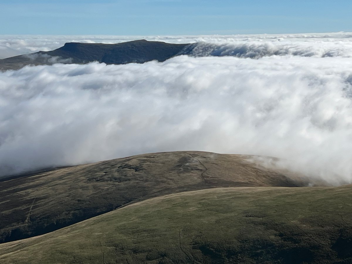 Sue Wilkinson tweet media