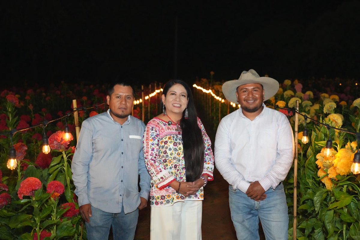 Nancy Benítez tweet media