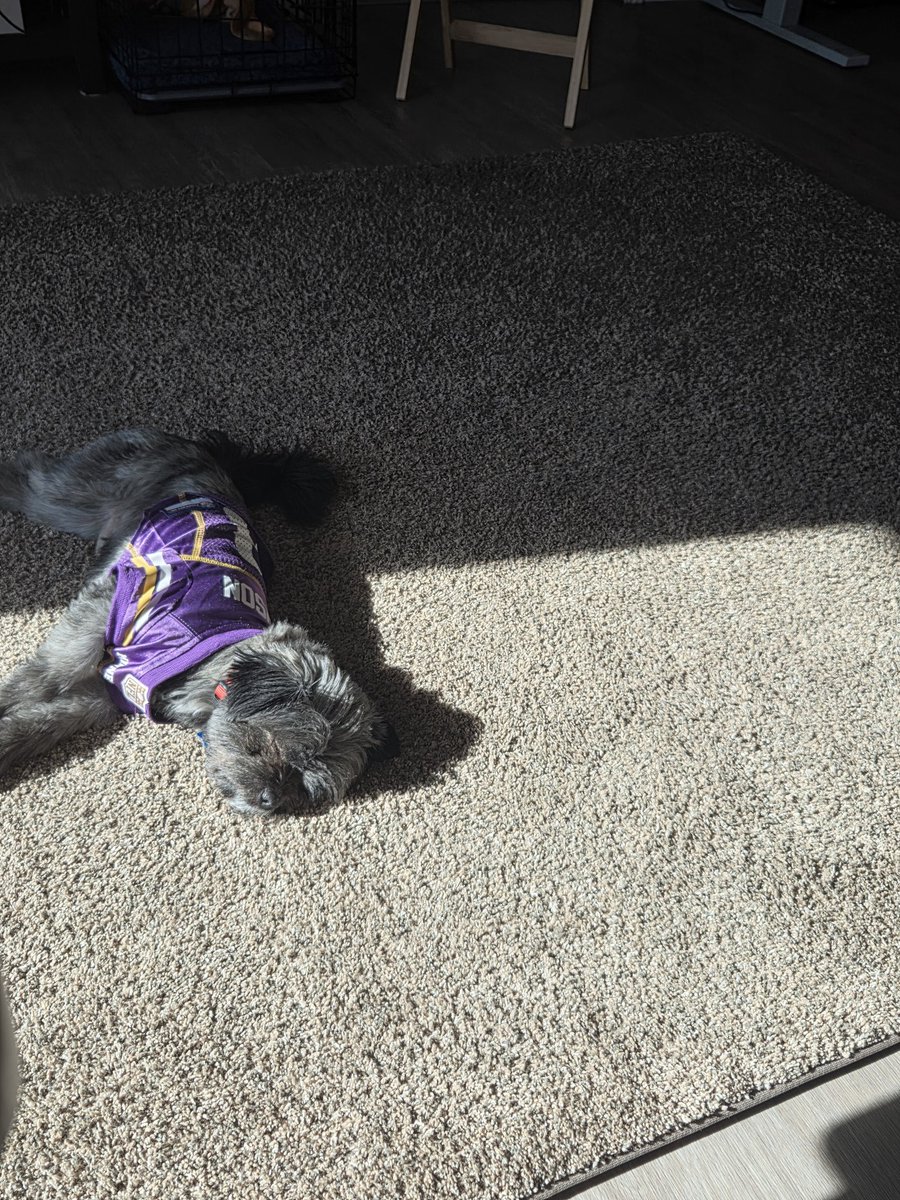 twinsguy08's tweet photo. I don't blame him for sleeping, the 1st half offense was awfully boring. It's time to put in Brosmer. #Skol #SkiUMah https://t.co/r31zPRo6SQ