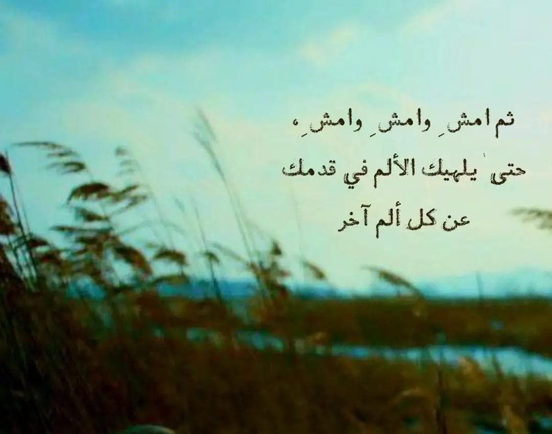 Alaa_ibrahimsa's tweet photo. وكل ملتفت لا يصل. https://t.co/YWaLfj2Az4