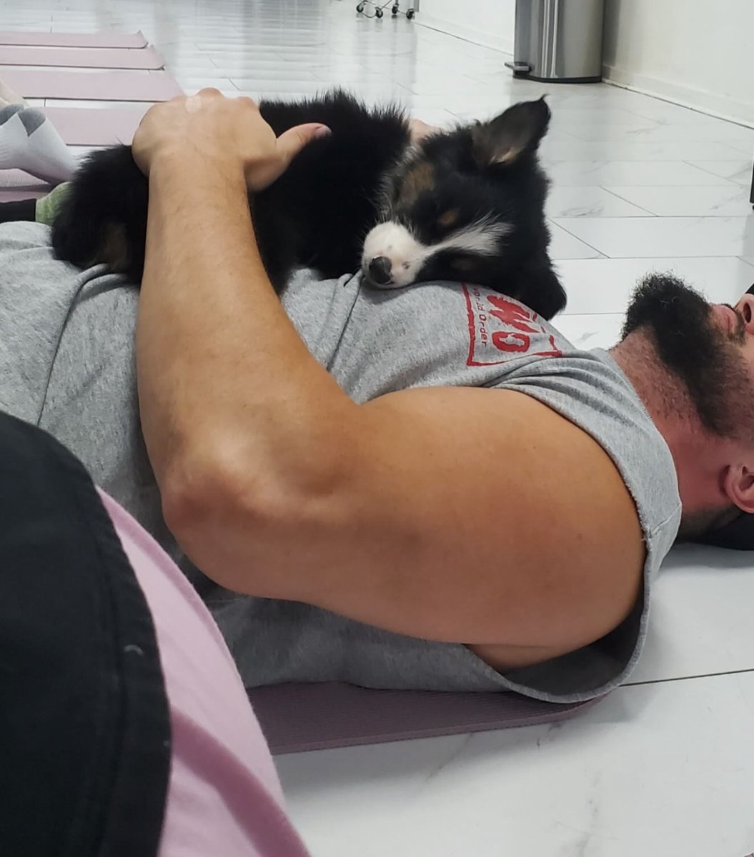 I want to be that puppy.