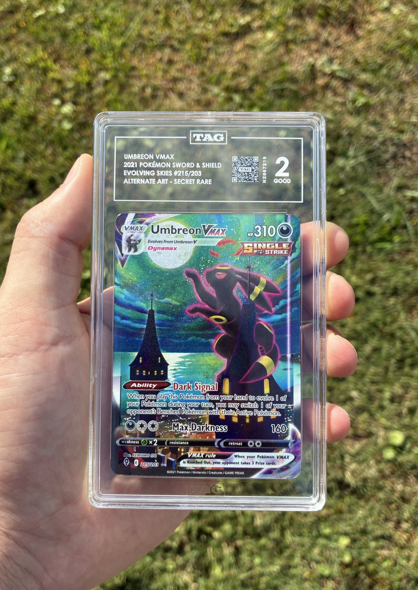 TheDamagedPokemonCollector tweet media