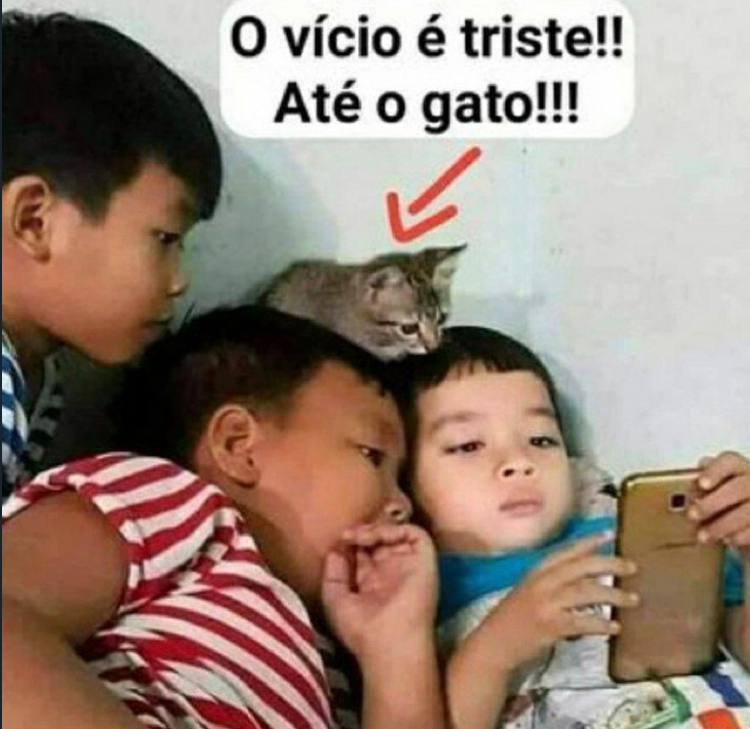 autoestimaposts's tweet image.