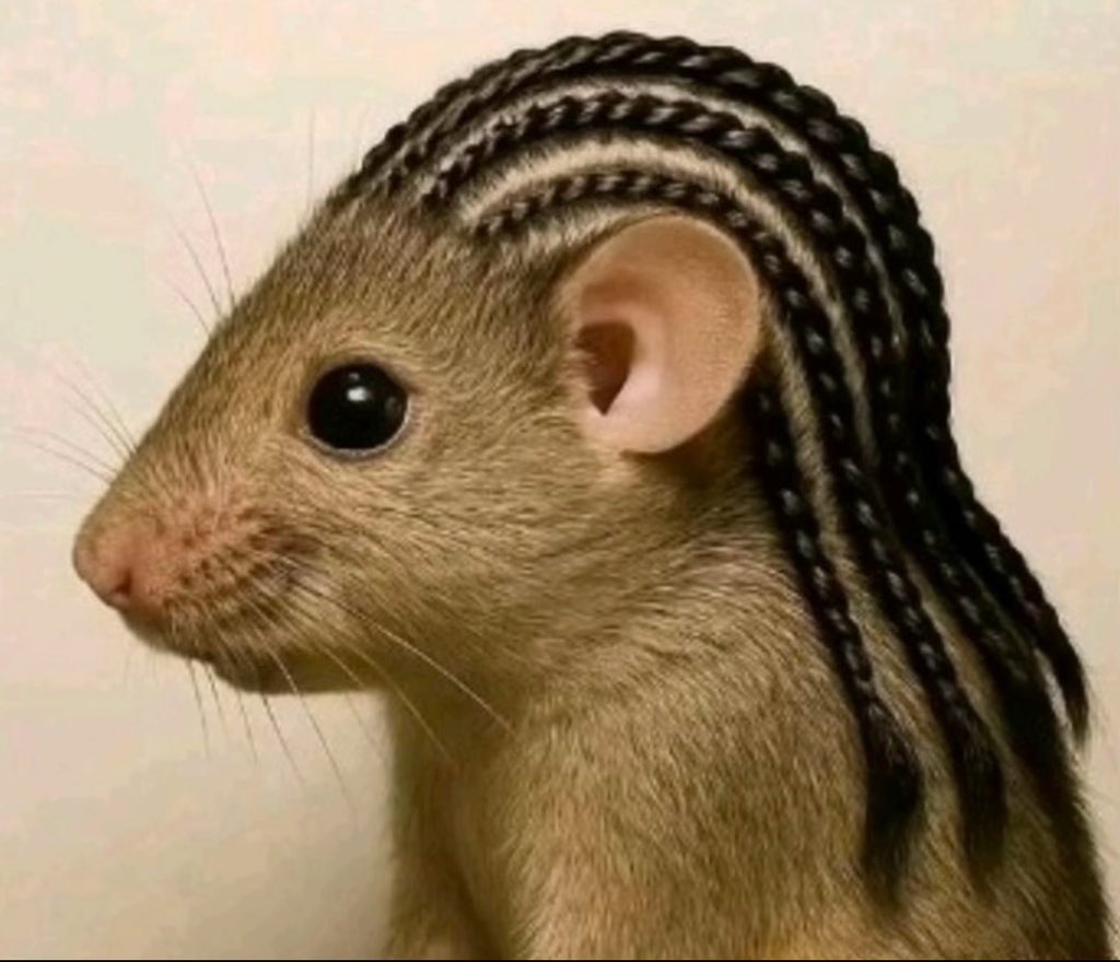 Dreadlocks are not meant for anyone ampa and see suit paa you dey take celebrate 65th  birthday celebration like teacher  manu  😅😅
#TheTorcherEP