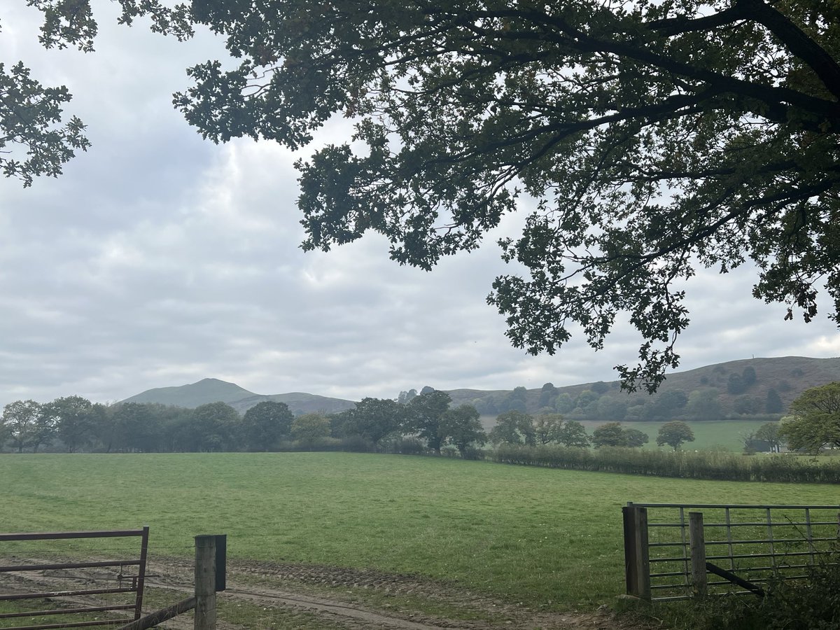 #NHS1000miles week 42 for 2025
Walk 🚶‍♀️20.17 miles 
Run 🏃🏻‍♀️ 12.53 miles
Total 32.70 miles 
YTD 1,677.85 miles