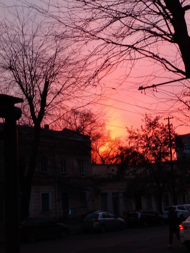 Катерина Галич tweet media