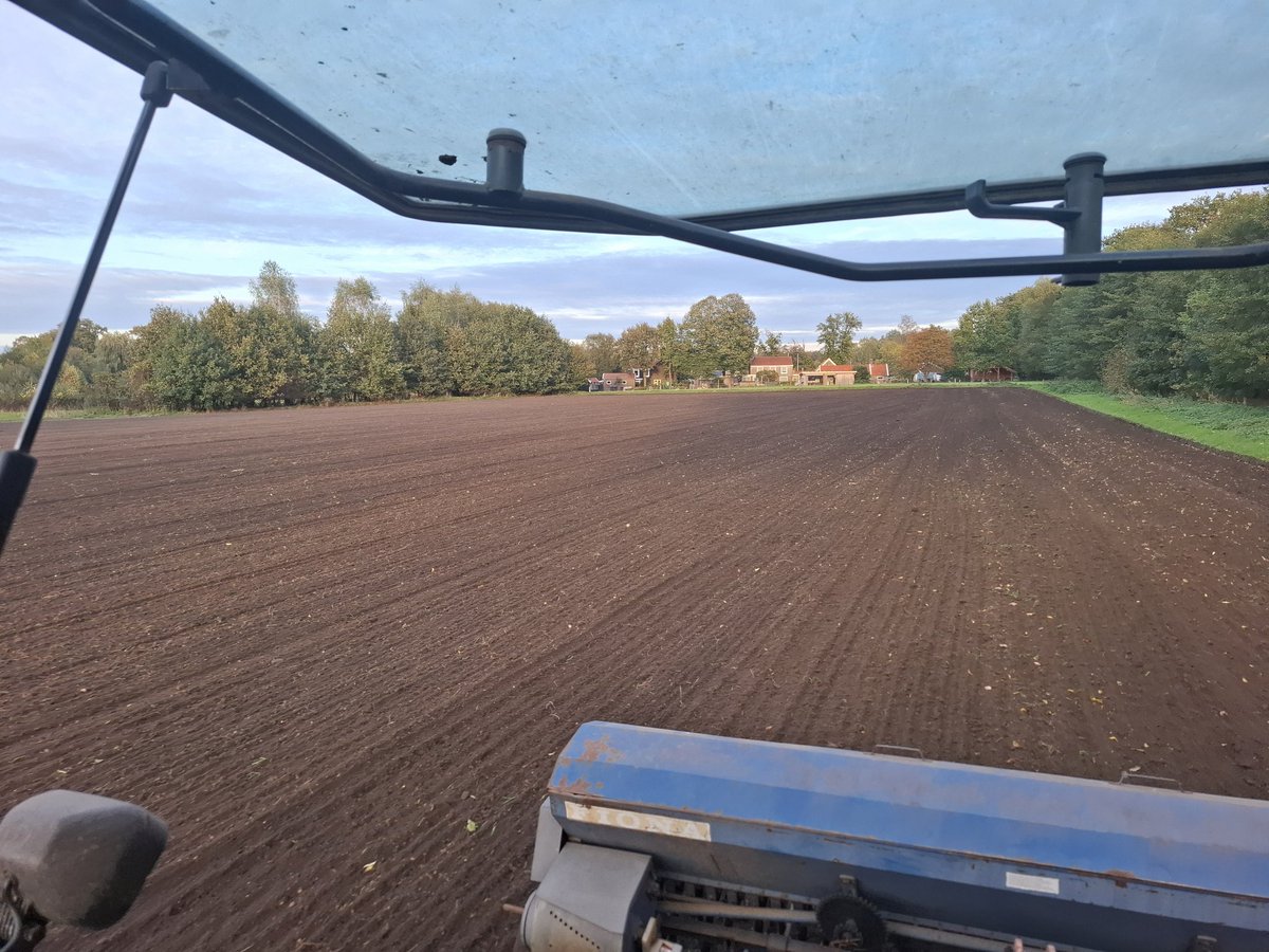 Dinand Bruggert tweet media