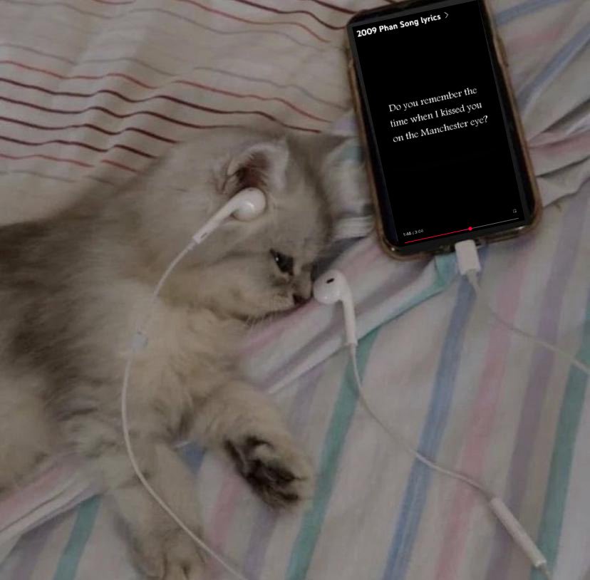 mj 🍉 (@aughtsphil) on Twitter photo 