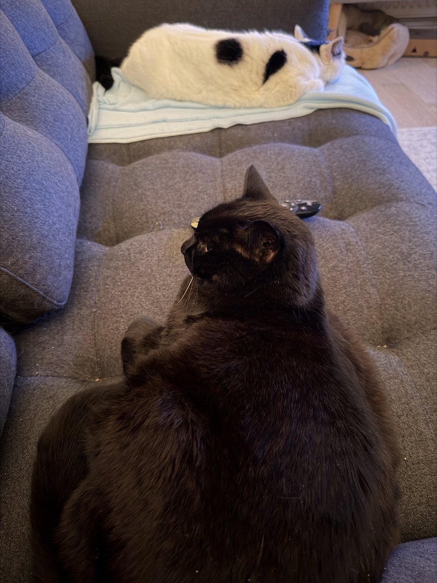 Well I’m looking forward to the #F1 even if no one else is!