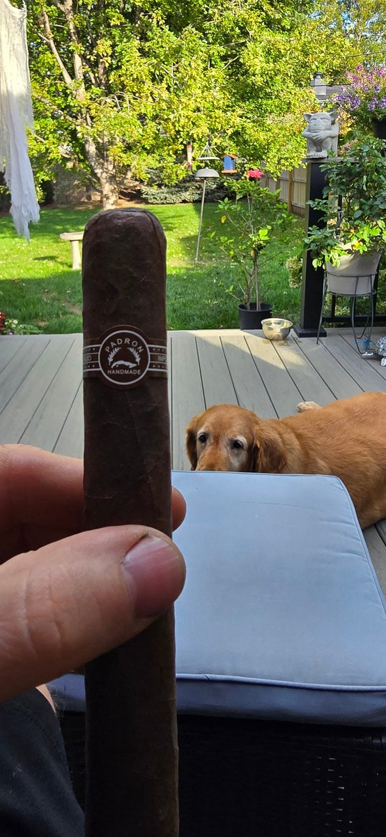 Joe Adams tweet media