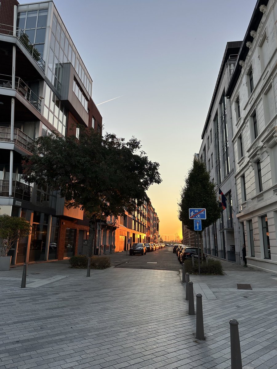 FarrowAlex's tweet image. 