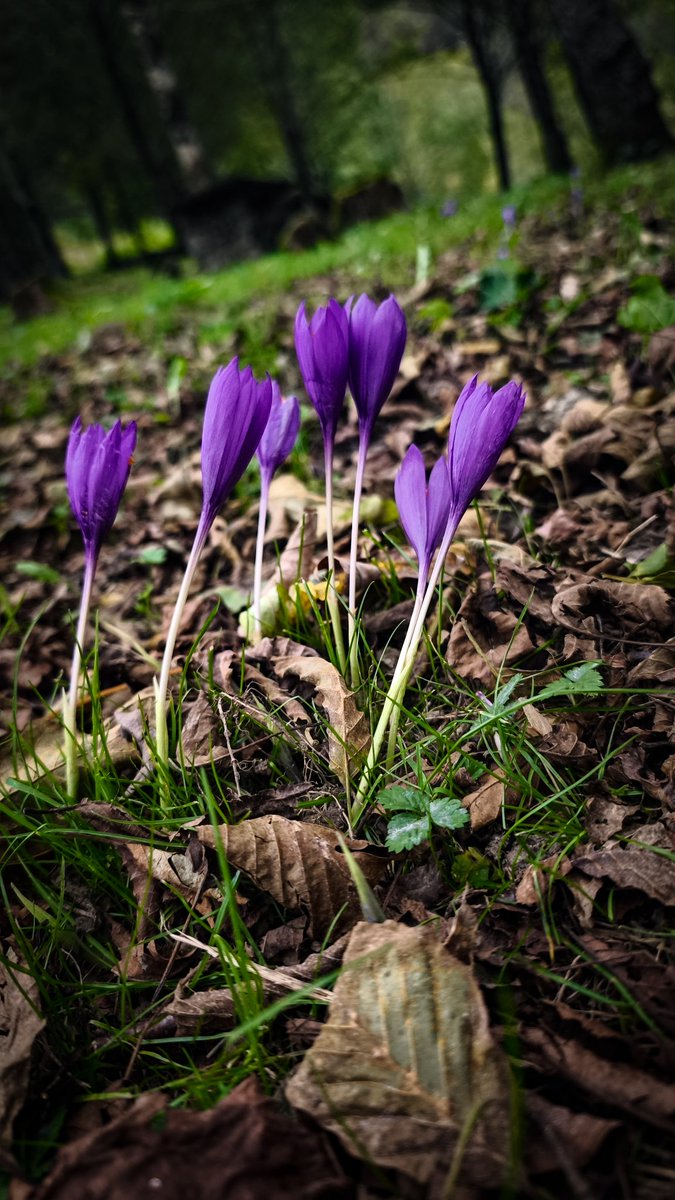 #Aitzbitarte #Orereta #Errenteria