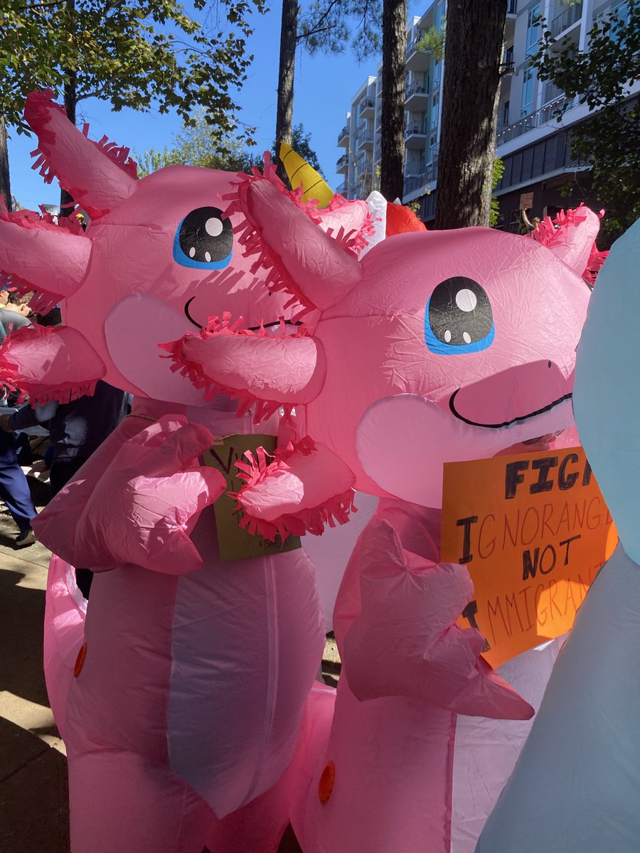 Durham Progressive Democrats tweet media