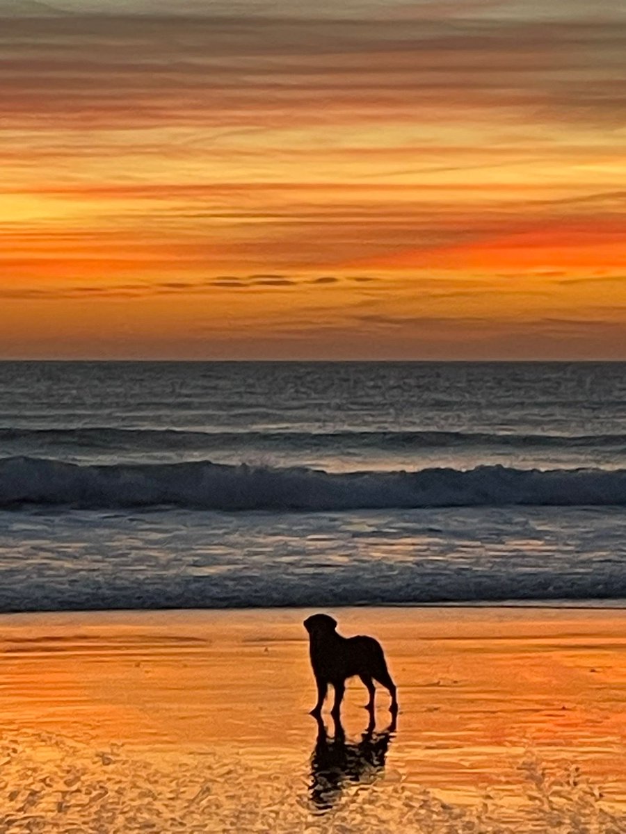 Robin Taylor tweet media