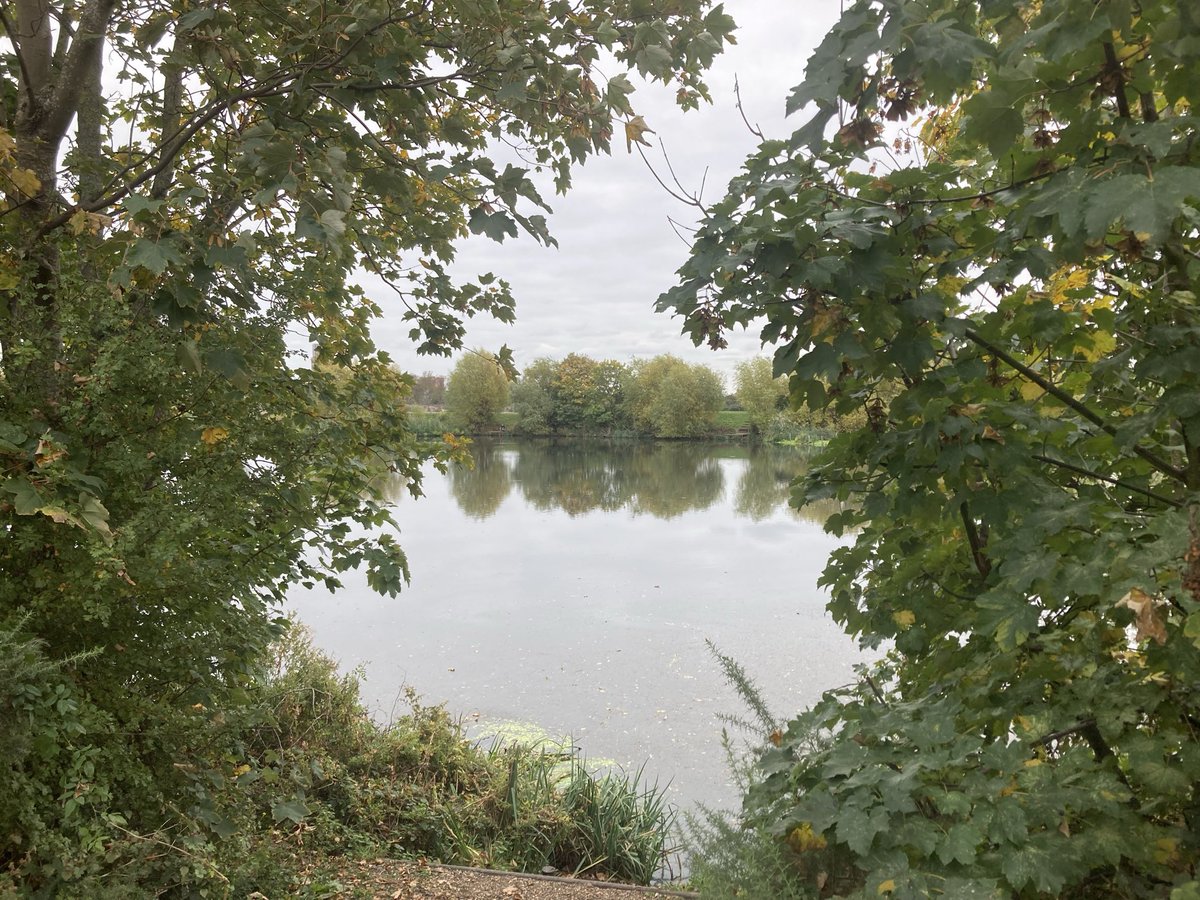 APegrum's tweet photo. 22miles this week for #NHS1000miles. It was a grey day for exploring Walthamstow Wetlands but great for a natter &amp; connecting with nature. YTD 792miles https://t.co/5Teuvw5mW5