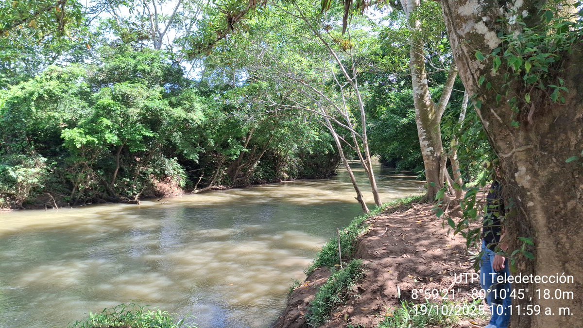 ⚠️#RíoIndio Zona de futuro  Embalse 
📍Colón, 🇵🇦
#canaldepanama
#cosechadeagua
