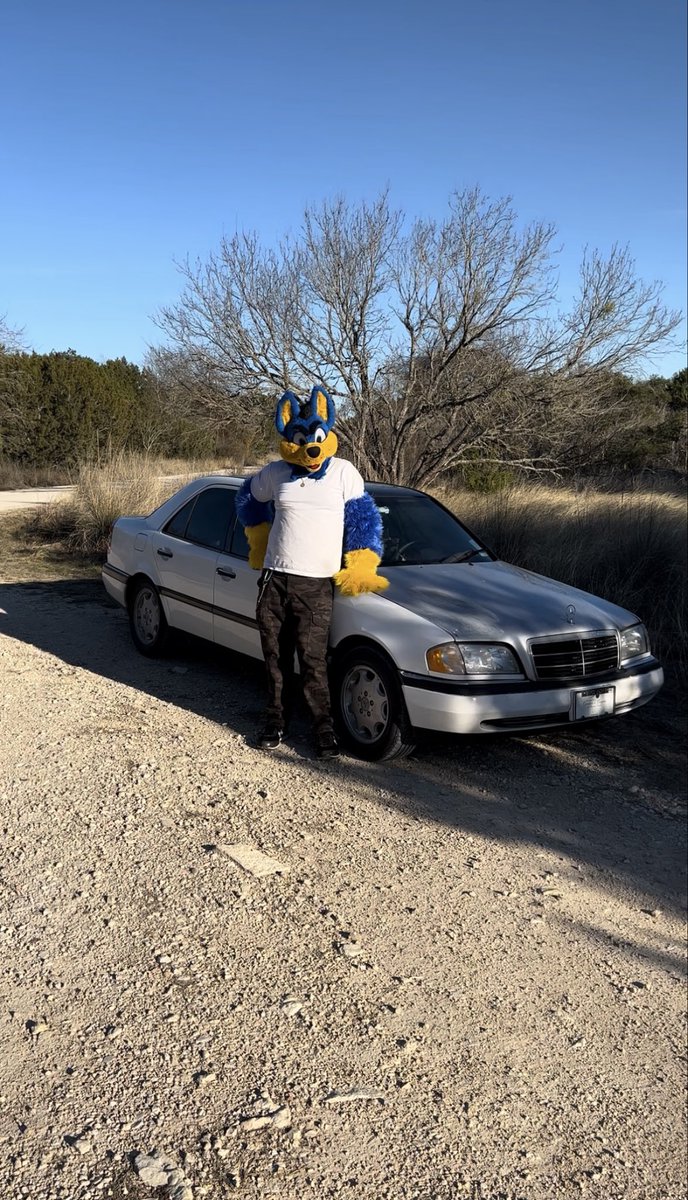 CognacFox's tweet photo. Wow! A lot of new followers and interactions with peeps! Hi! I’m Cog or Trick. I’m male and pansexual. I love motorcycles, cars, fursuiting, video games, guns, computers,mountain biking, camping and world travel. Currently in Medical College. Looking for a mate and friends.DMS OK https://t.co/Jl9qDPfYjZ