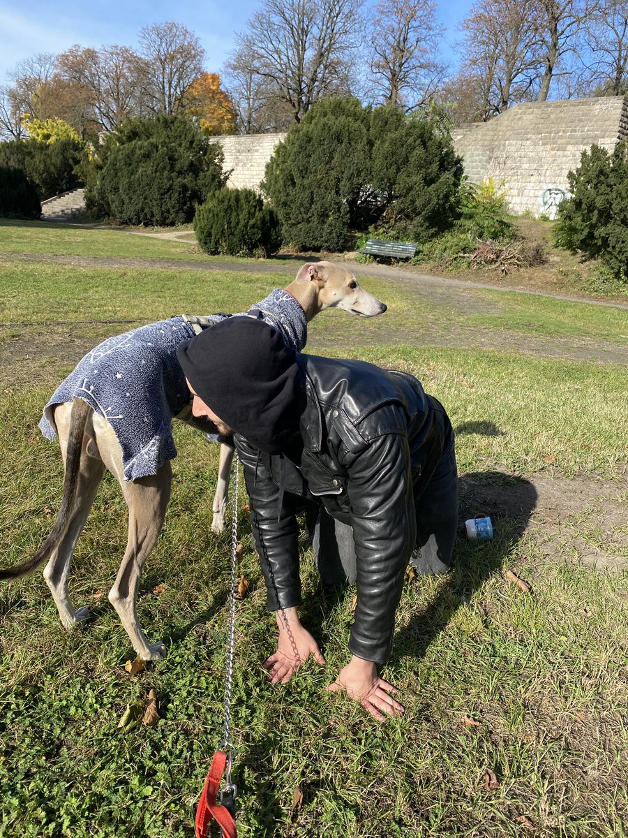 зырьте какую лошадку нам дали погонять!!! он просто ОГРОМНЫЙ (фото человека на коленях для сравнения)