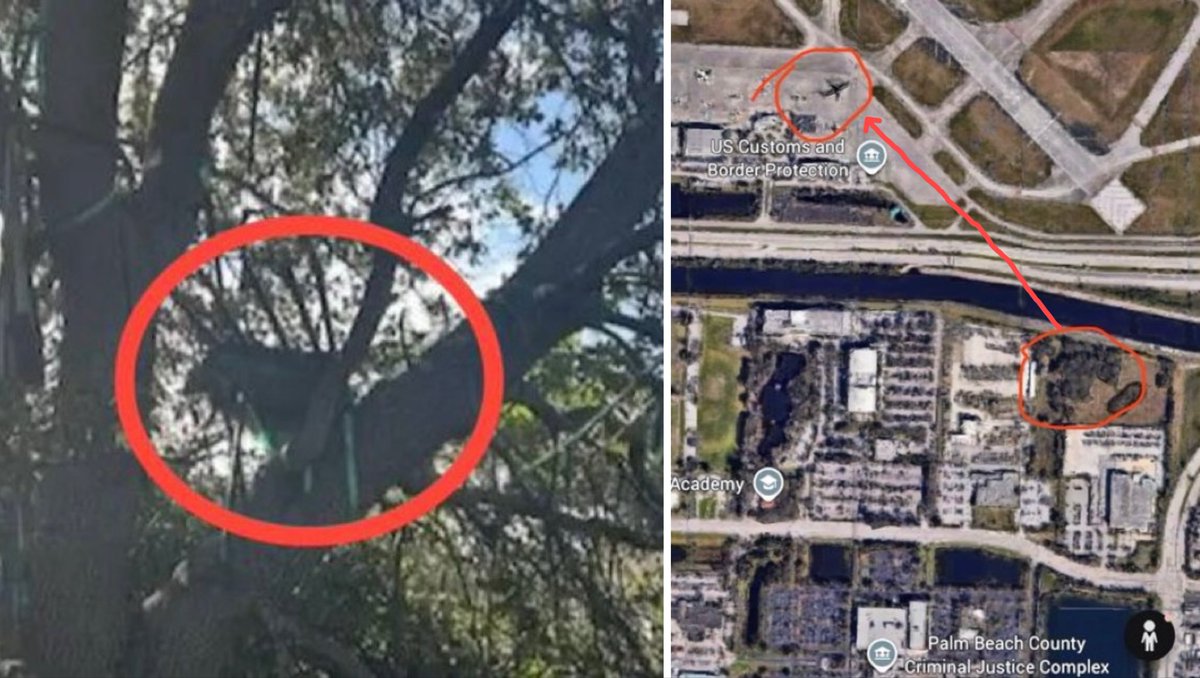 BREAKING - It has been revealed that the discovered hunting stand at Palm Beach International Airport, with a direct line of sight to where President Trump disembarks Air Force One, is located within an established “no discharge” and “no hunting” FAA safety zone.