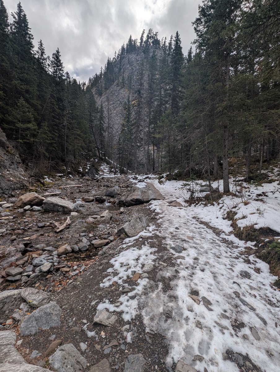 Quick morning hike around Heart Creek, just to work up an appetite for some poutine in Canmore.