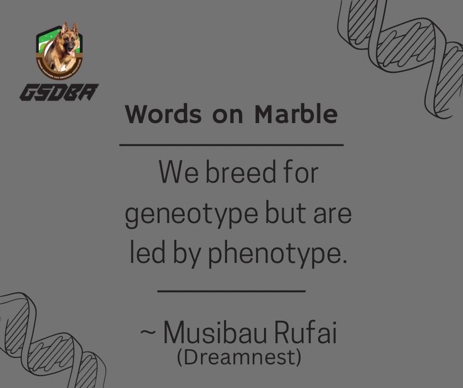 Blaq (@blaq_speaks) on Twitter photo 