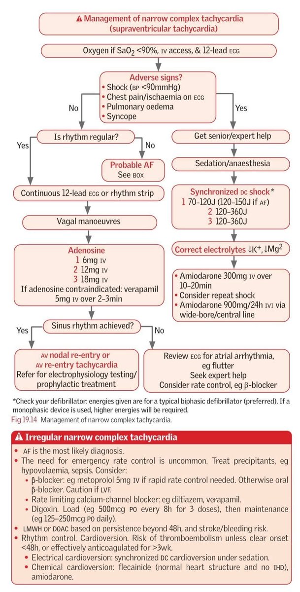 ErbertoC's tweet photo. Approach to SVT https://t.co/ddX3vQ6MCd