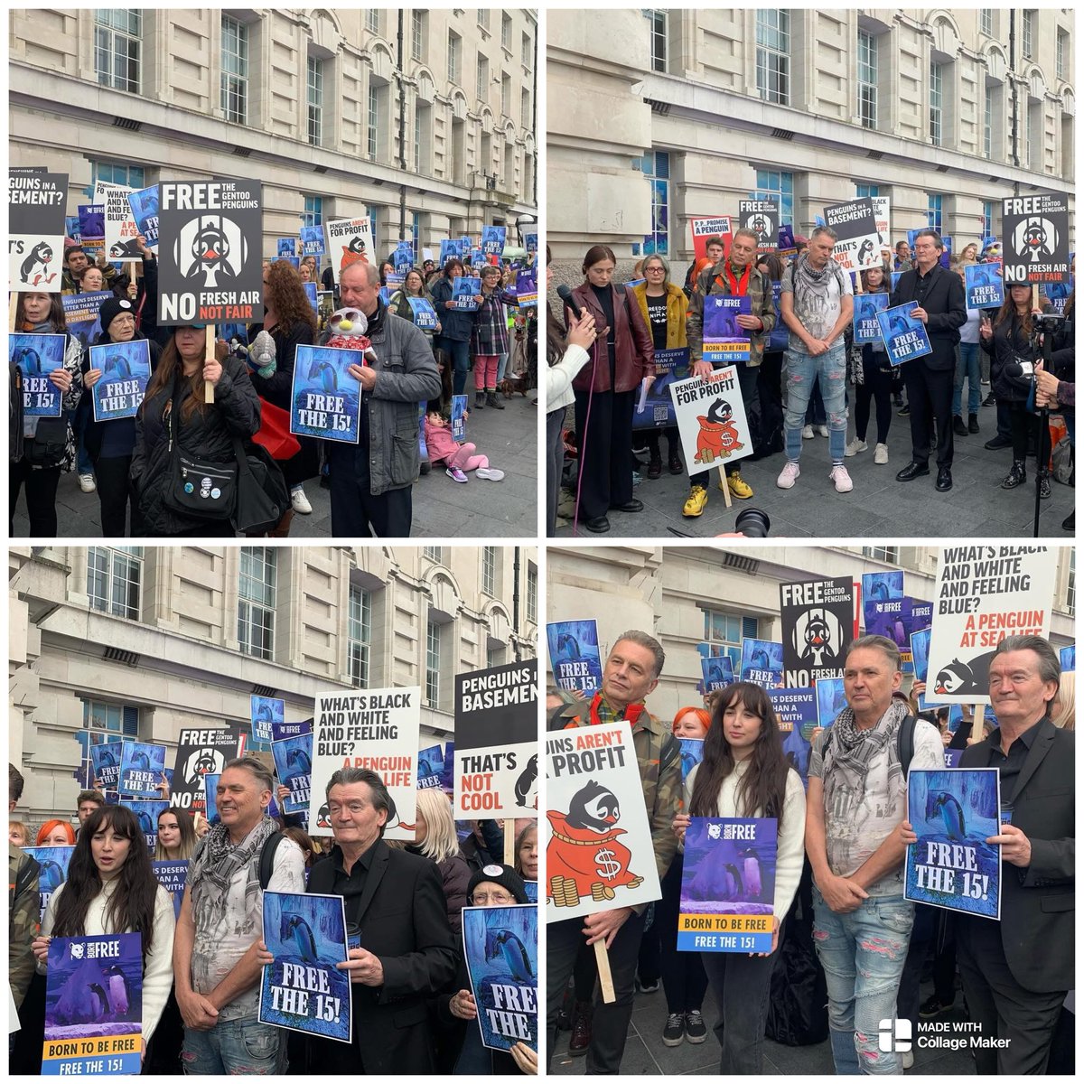 dominic dyer tweet media