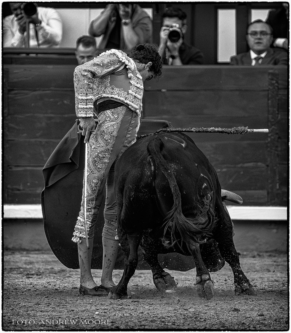 Semana I d.M. 

Hay que mirar hacia adelante. 

📸: <a href="/andrewmoore100/">Andrew Moore</a>