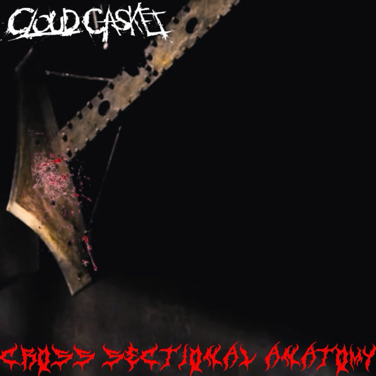 One week of Cross Sectional Anatomy, we hope you’ve been enjoying it and we hope you’re looking forward to new music soon. Thank you all again. #newmusic #deathmetal