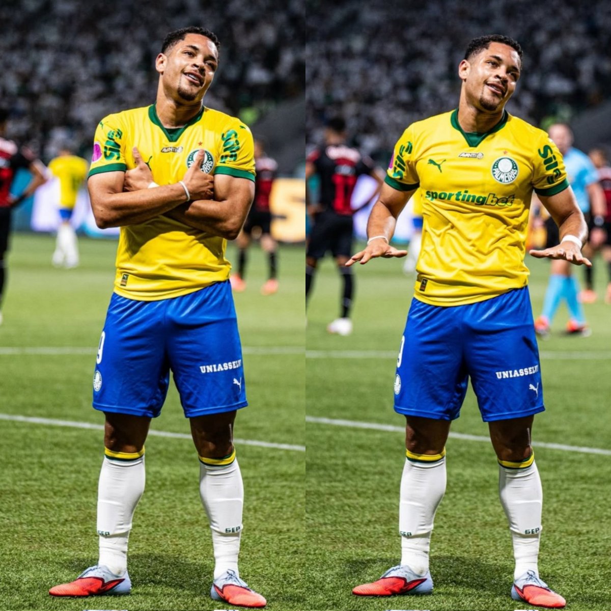 <a href="/Palmeiras/">SE Palmeiras</a> 🐯💚