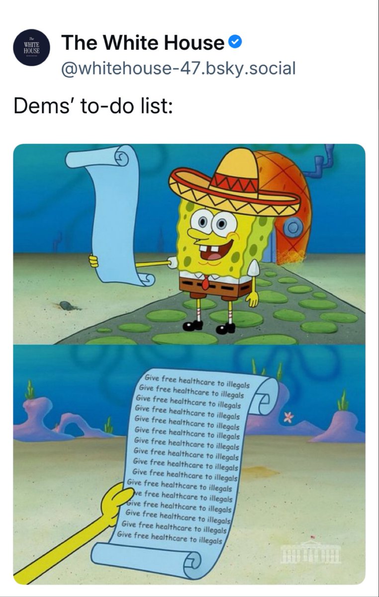 The White House on Bluesky doesn’t miss.