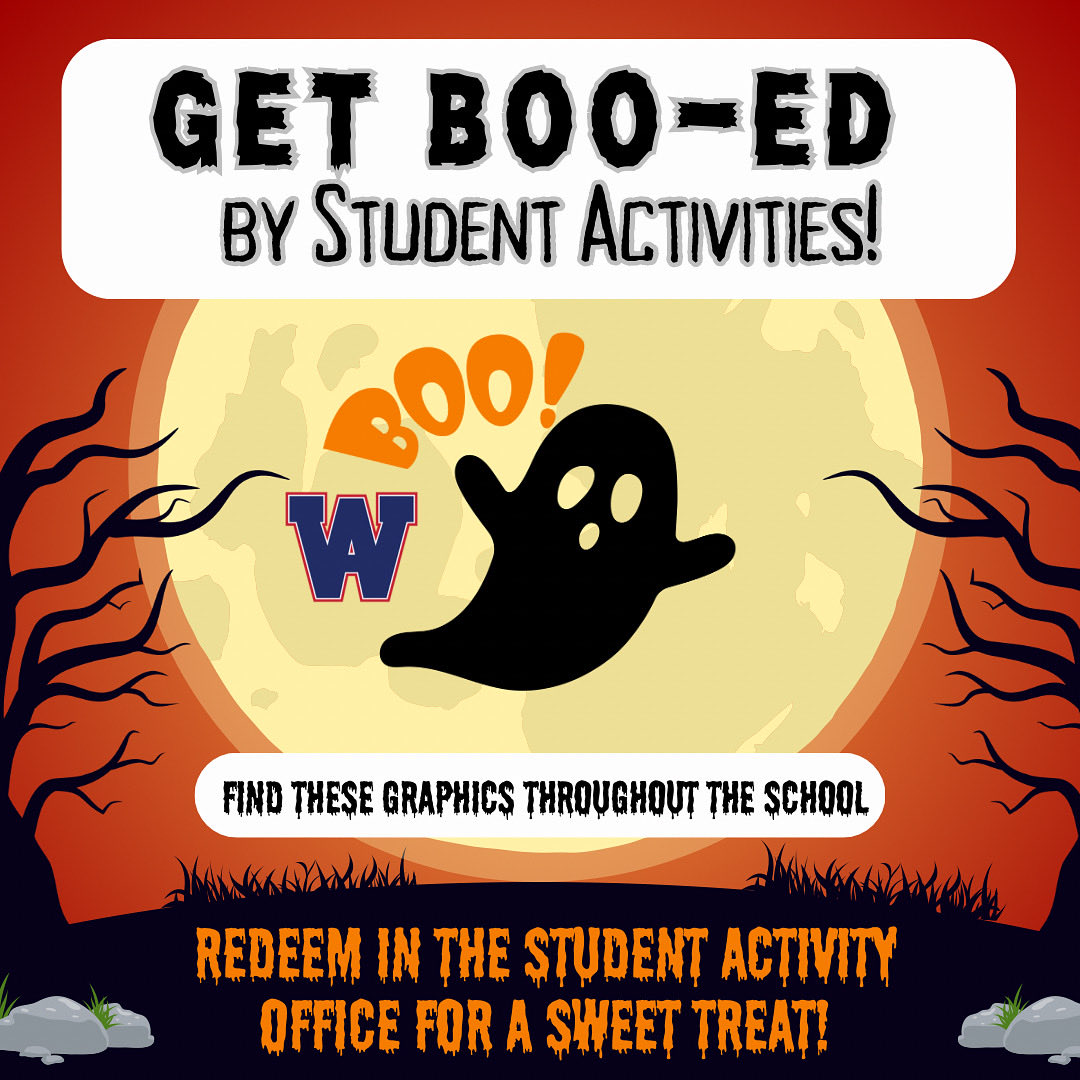 WestAuroraActivities tweet media