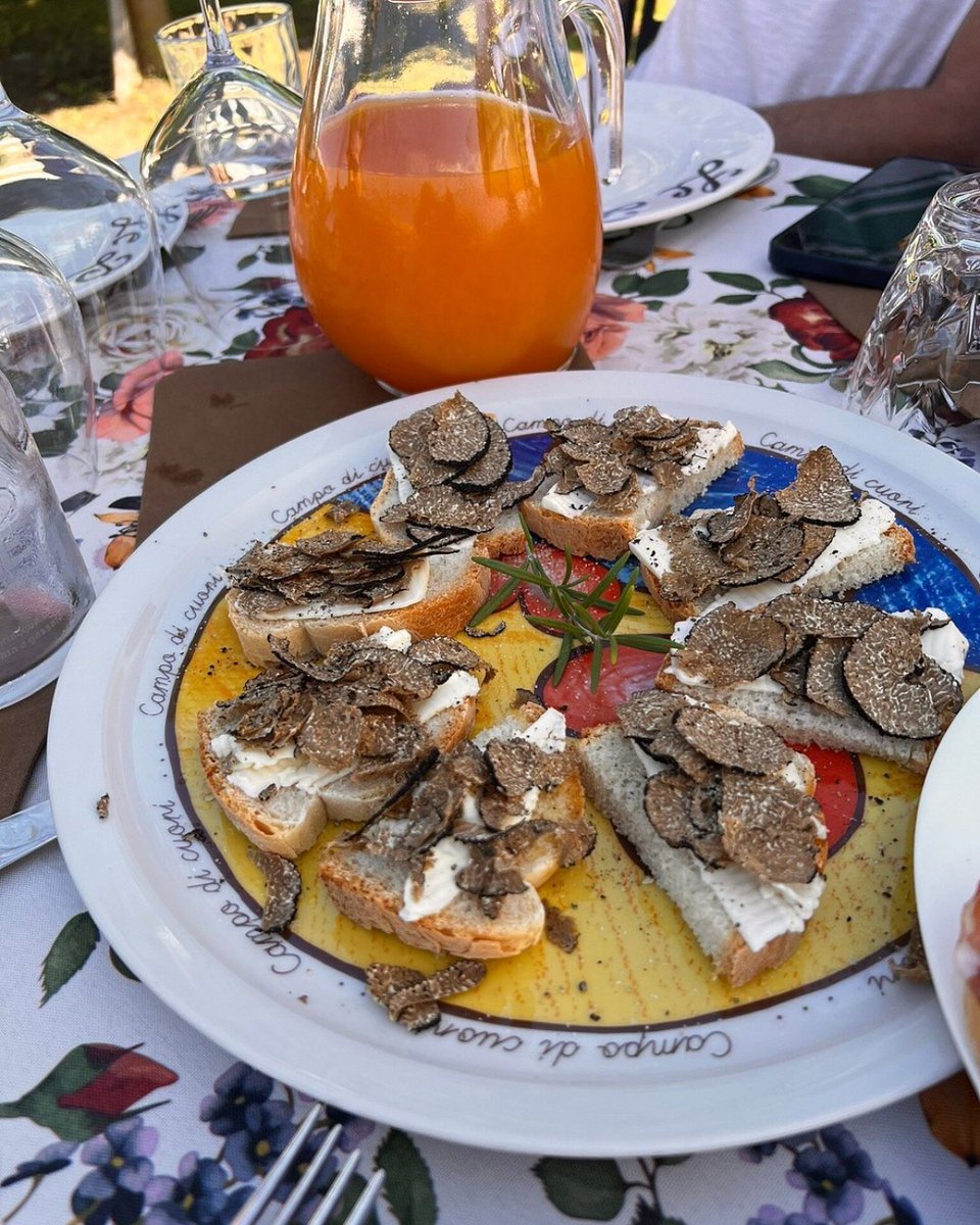 Tripadvisor's tweet image. Does every millennial have &quot;Truffle Hunting in Tuscany&quot; on their bucket list?