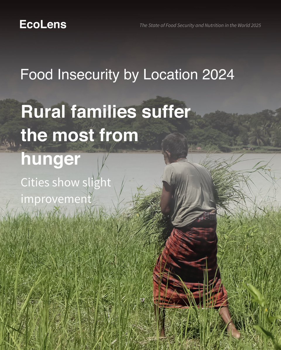 Food insecurity remains deeply unequal. 🍽️
Between 2023-2024, the gender gap widened again; back to 2015 levels.♀️♂️
Rural families are still the most affected, while cities show only slight improvement.🏙️🥗

#FoodSecurity 
#GenderGap
#FoodInequality