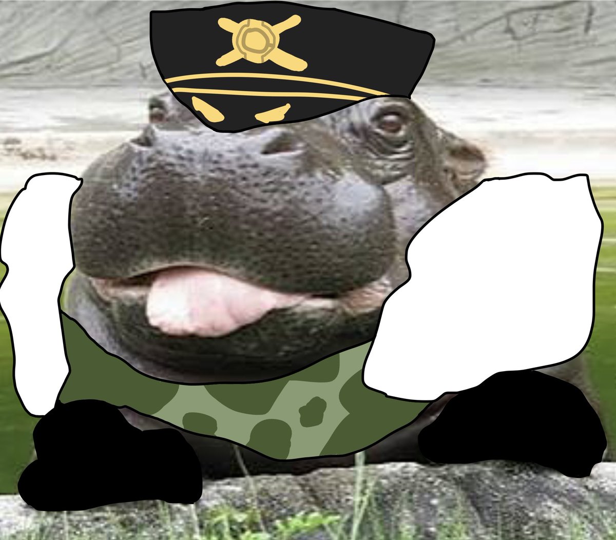 Silly hippipotamus (FERGUS IS BACK)