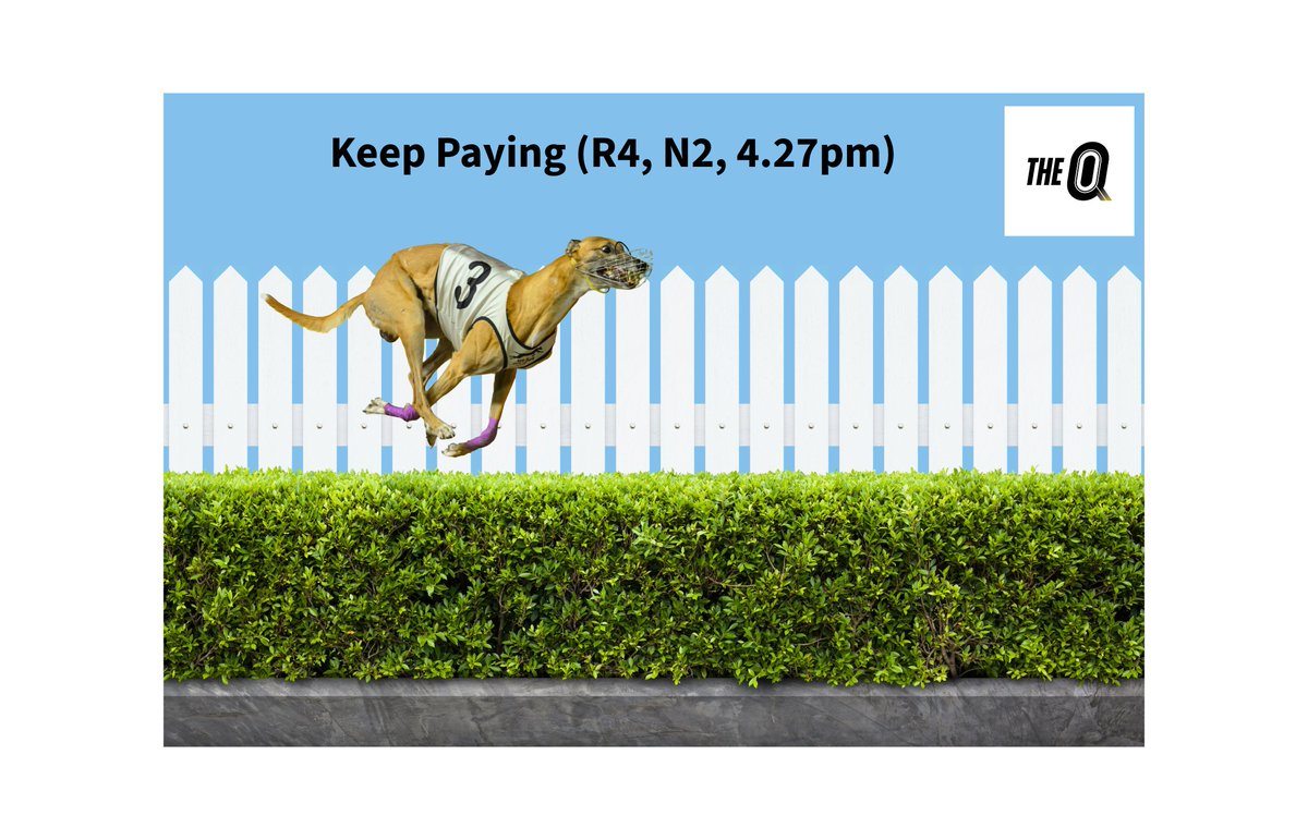 Keep Paying will look enjoy the first picket fence of his career when lining up in race four at Q2 this afternoon. The son of Fernando Bale and Amelia Ella will look for four straight wins if successful today after an impressive Q2 debut last week.