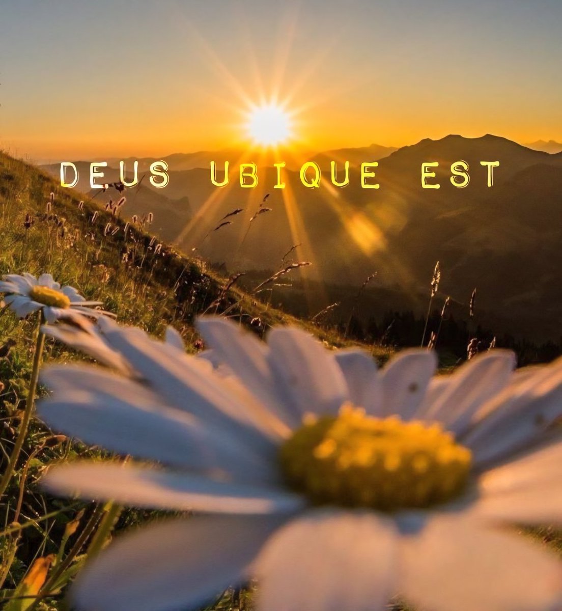 🙏

Happy Sacred Sunday, frens.  May you all  enjoy this day in peace &amp; prayer with your families.