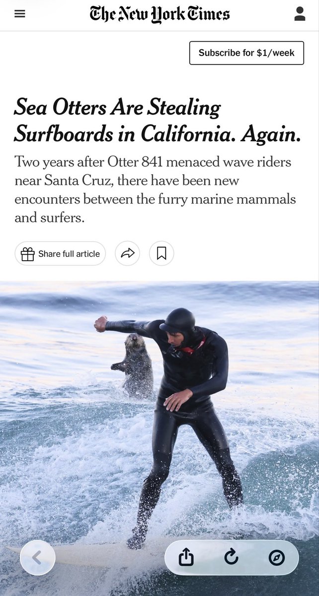 Native Santa Cruz tweet media