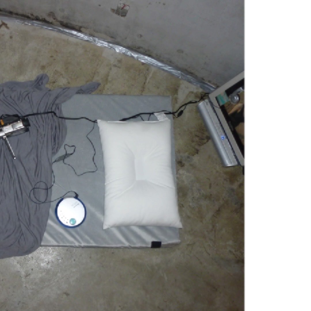 走馬灯 tweet media