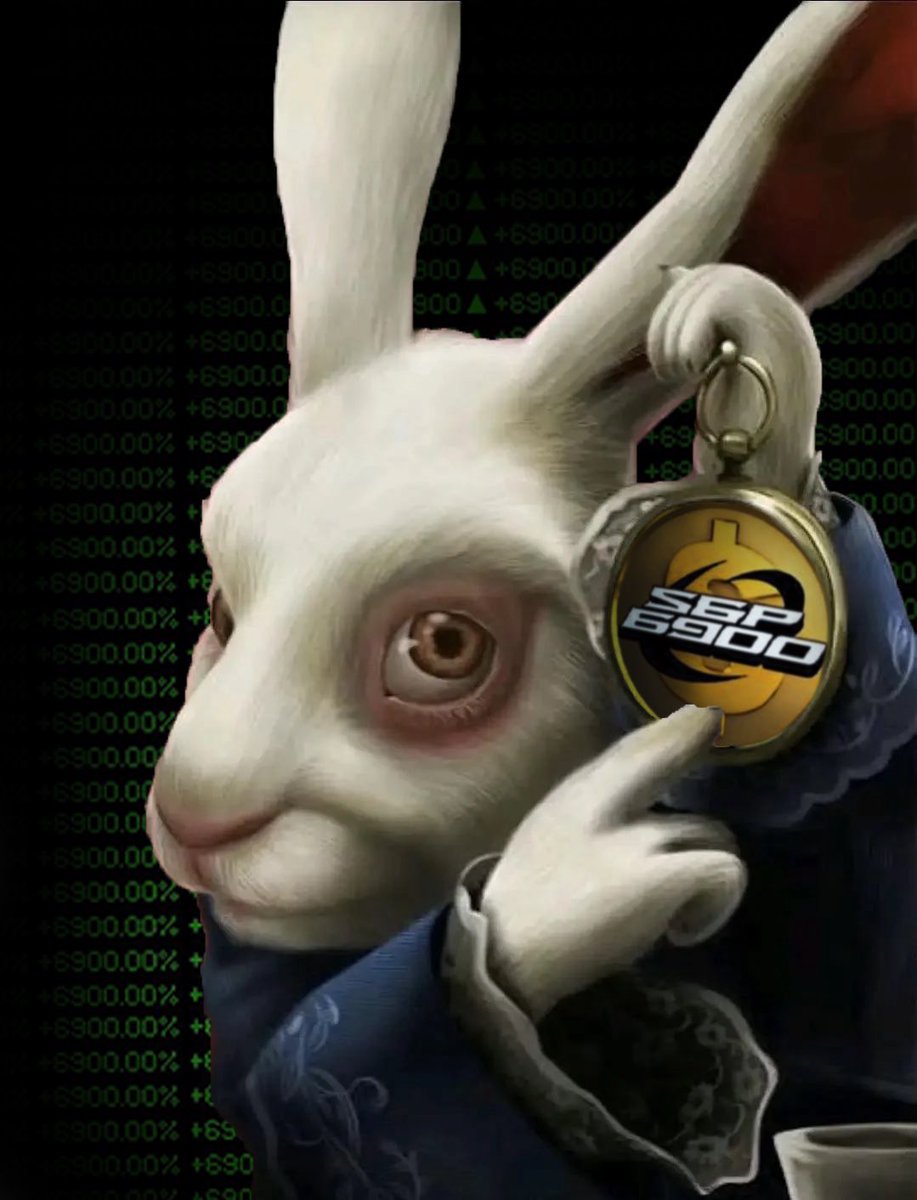 0xpepethefrog's tweet image. #SPX6900 is a movement coin. The “cult” moniker isn’t so descriptive anymore. It was useful for the earlier SPX era for those crazy enough to see what was brewing before the rest of the world, similar to the BitcoinTalk and r/bitcoin days. All the memetics and narratives for BTC…