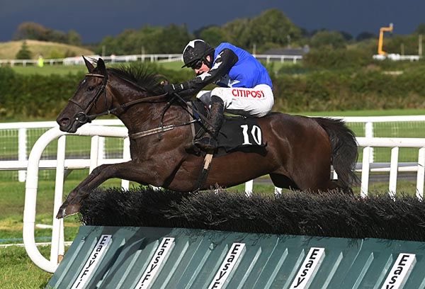 Blue Blood Racing tweet media