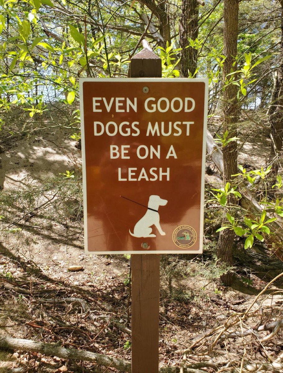 for my male followers