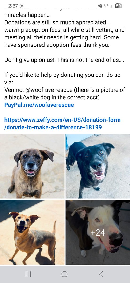 EnigmaAnonymous's tweet photo. I have gotten too many Ricky Gervais follows/shares, but the problem is that none of them are the real @rickygervais ! 😭 Woof is running out of time and I'm personally running out of hope. If anyone sees this, please at least share! https://t.co/0mehB1WA6H