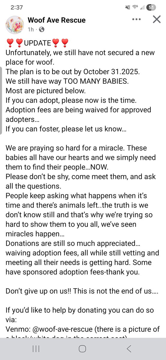 EnigmaAnonymous's tweet photo. I have gotten too many Ricky Gervais follows/shares, but the problem is that none of them are the real @rickygervais ! 😭 Woof is running out of time and I'm personally running out of hope. If anyone sees this, please at least share! https://t.co/0mehB1WA6H
