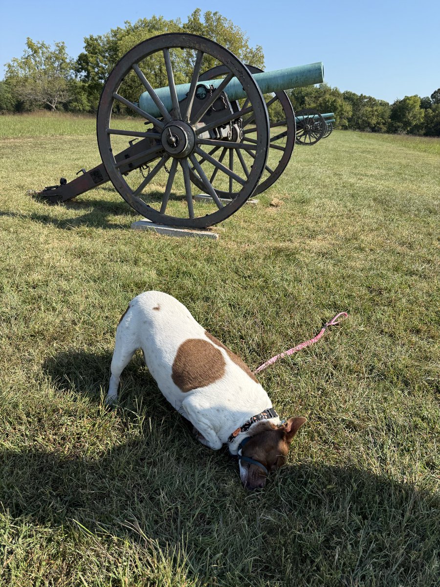 4 mile walk through Manassas Battlefield Park