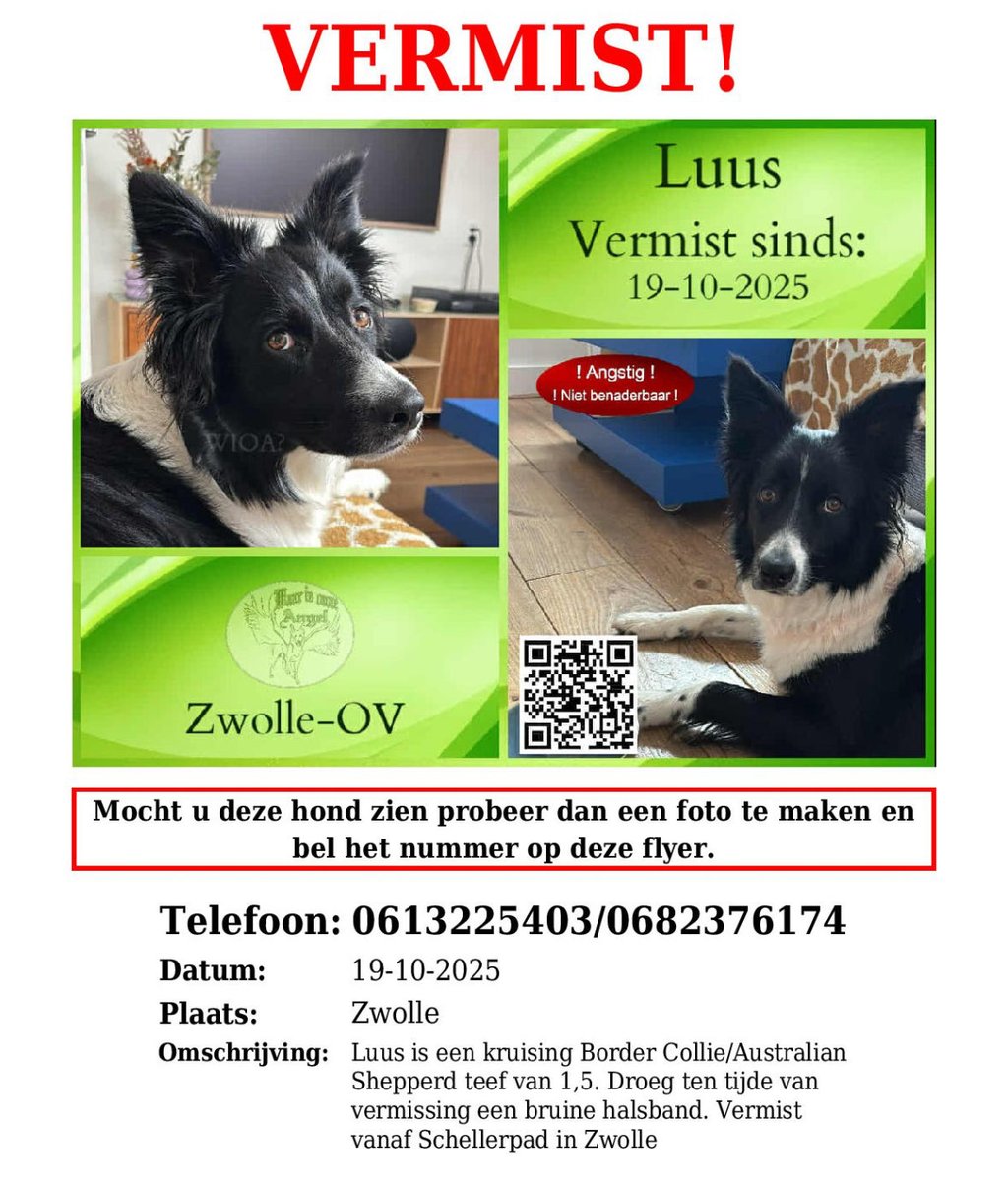 Dierenambulance Zwolle tweet media